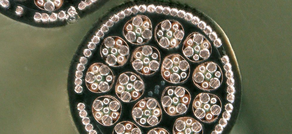 Multi Channel Transmission cable.jpg