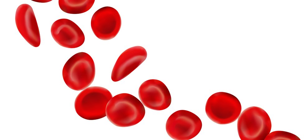Blood_cells.jpg