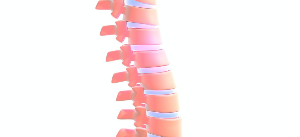 spinal.png