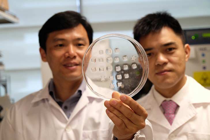 NR-Banner---Prof-Chen-Peng-(left)-holding-the-drug-laden-microneedle-fat-burning-patch-with-Asst-Prof-Xu-Chenjie---Copy-1.jpg
